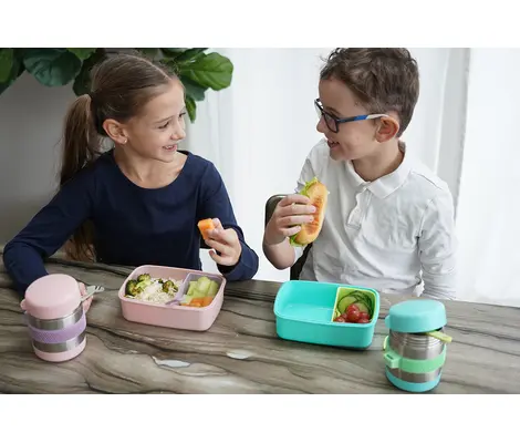 Θερμός Δοχείο Φαγητού Babywise Melii Melii Fidget 300ml Ροζ | Φαγητοδοχεία στο Fatsules