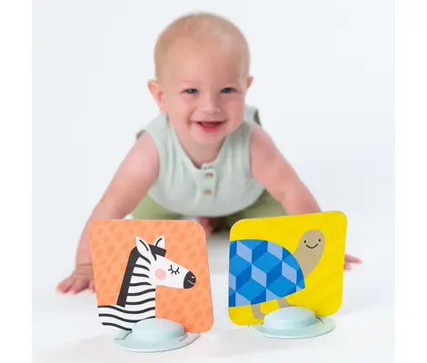 Παιχνίδι Καρτών Taf Toys My 1st Tummy Time Cards 15τμχ | Βρεφικά παιχνίδια έως 18 μηνών στο Fatsules