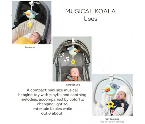 Κρεμαστό Παιχνίδι Taf Toys Musical Koala | Βρεφικά παιχνίδια έως 18 μηνών στο Fatsules