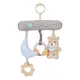 Κρεμαστό Παιχνίδι Bebe Stars Teddy Flower Hanging Toy | Βρεφικά παιχνίδια έως 18 μηνών στο Fatsules